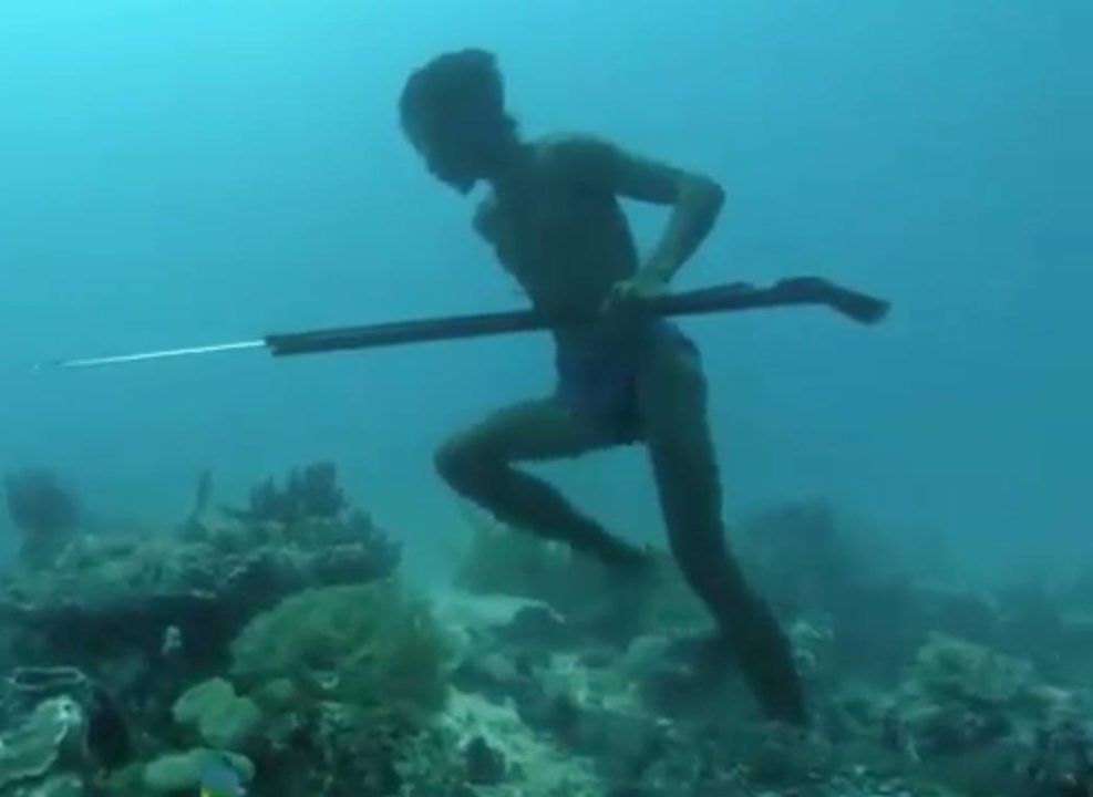 Swimmer Spearfishing Five Minutes on One Breath