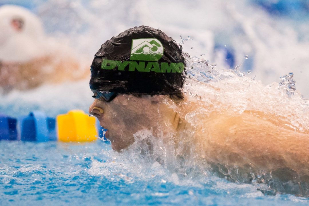 Swim Job: Dynamo Swim Club seeks Full-Time Coach
