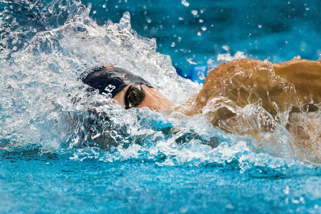 Hohmann, Dressel improve off-event times at Saturday finals of Florida Last Chance
