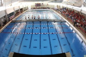 Louisville Sends School-Record 3 Divers to NCAAs at Zone C Championships