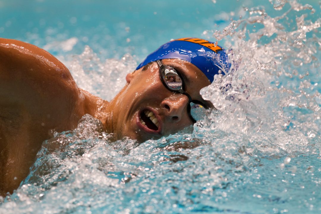 Florida’s Omana, D’Arrigo Named SEC Male Swimmers of the Week