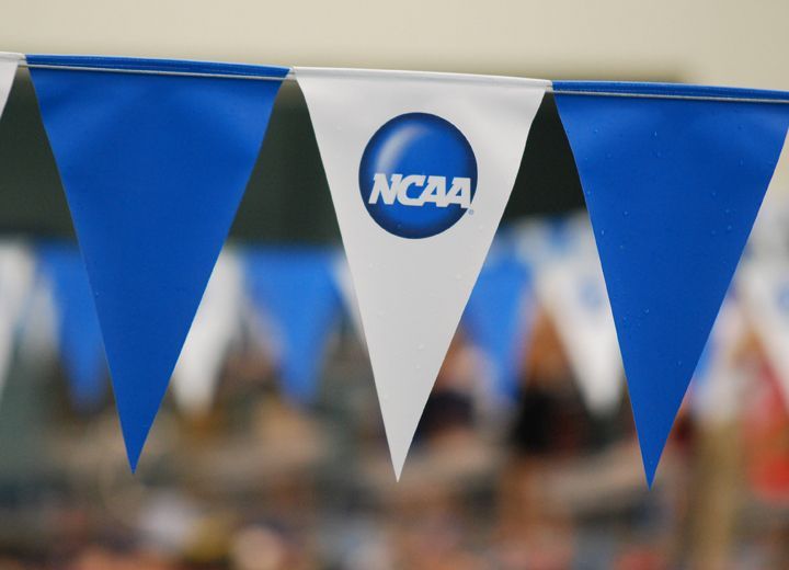 Explaining the Unicorn World Records from the 2000 and 2004 NCAA Championships