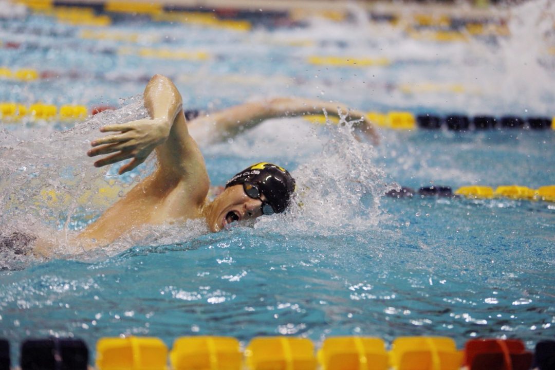 Florida Men, Colorado Women Extend Their Lead on Day 2 of 2014 ECC National Championships