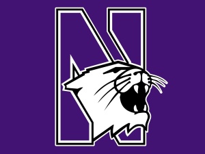 Pool Records Fall As Northwestern Wins Quad Meet At Chicago