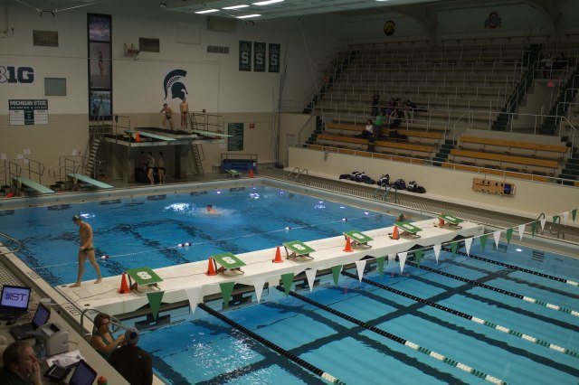 Michigan State University swimming and Diving (courtesy of Shelby Lacy)
