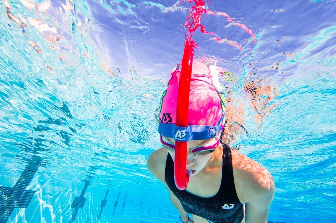 Practice Tips and Exercises for Beginner Swimmers