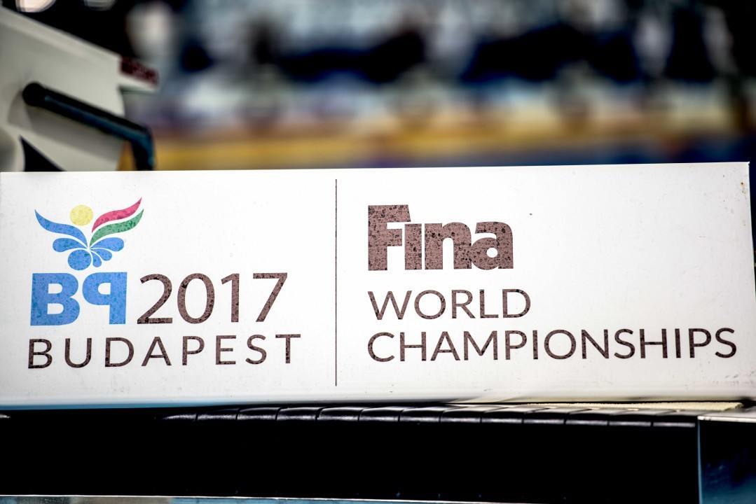 FINA Announces Standards for 2017 World Championships in Budapest