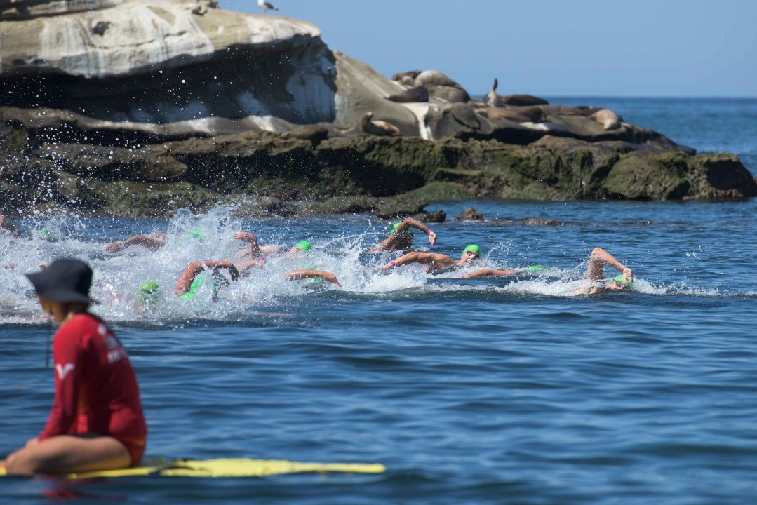 12 Swim From U.S. To Mexico In Political Demonstration