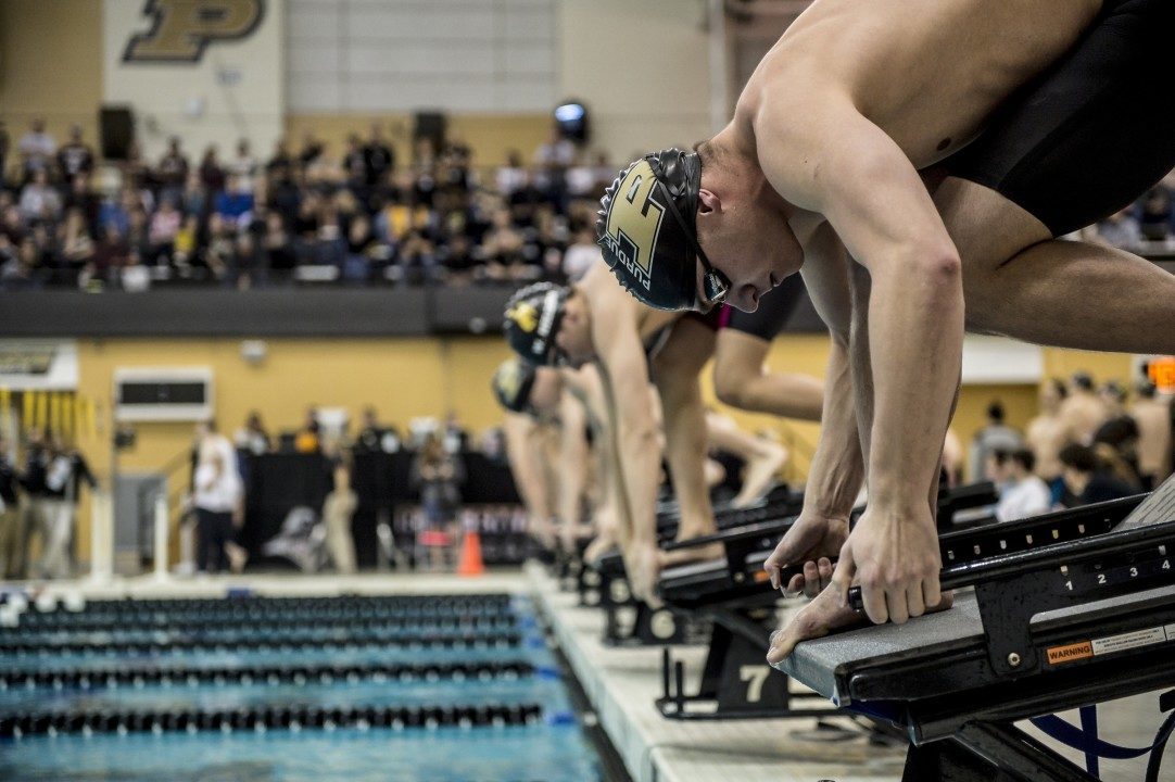 Purdue Hosts (And Sweeps) Home Dual Against Miami Ohio
