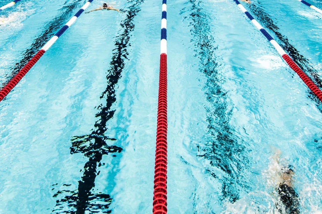 Dear Swimming, I Fell in Love with You.