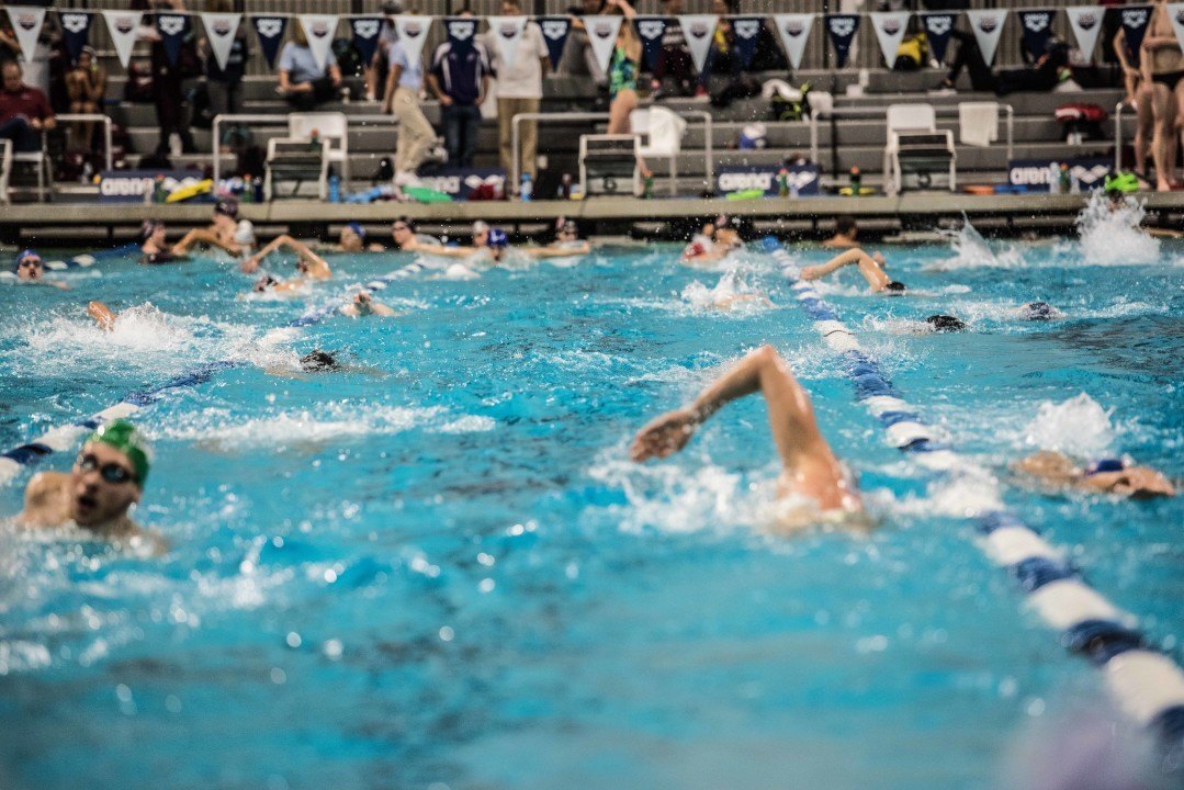 A Letter to the Practice Swimmer