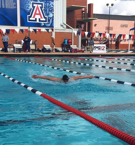 Arizona Swimming And Diving To Receive $15 Million For Renovations