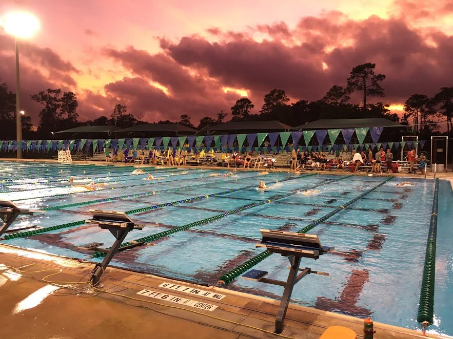 2021 Eagle Swim Camps @ FGCU – Sign Up Today