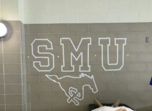 Speedo Sectionals Qualifier Sarah Meza To Swim For SMU This Fall (2026)