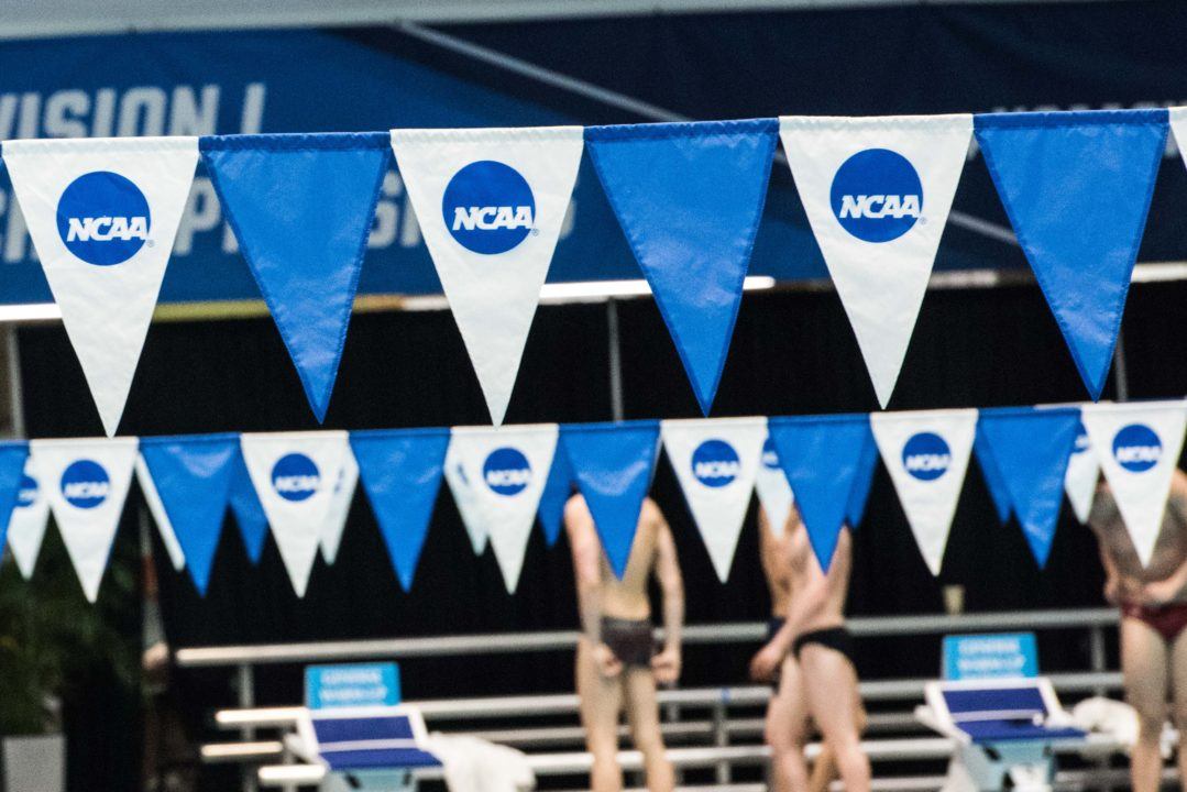 Will Swimming Pay For College?