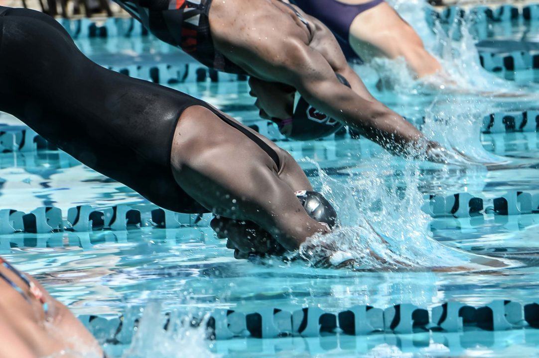 Do You Love Swimming? See 510 Swim Jobs You Might Love