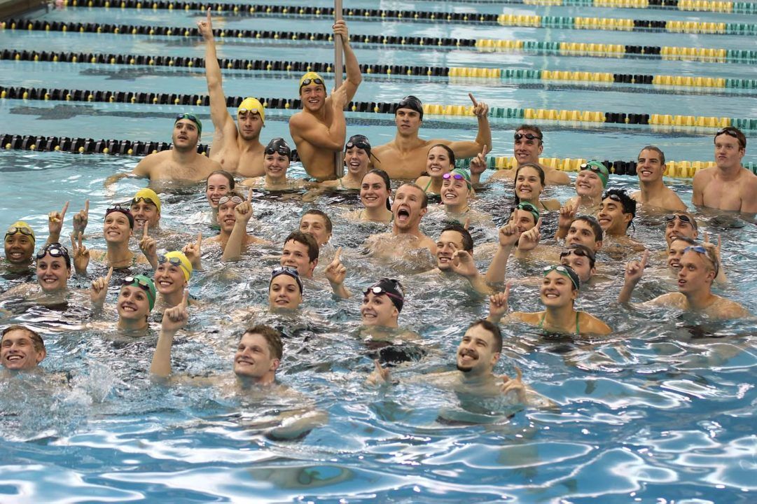 Appeal For Wright State Swimming & Diving