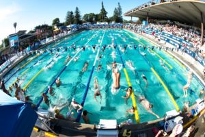 Using Your Board To Your Advantage: A Coach’s Challenge