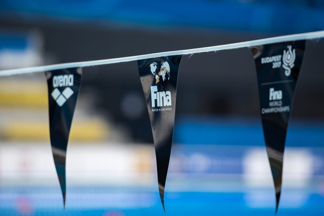 2019 FINA World Championships Dates Released