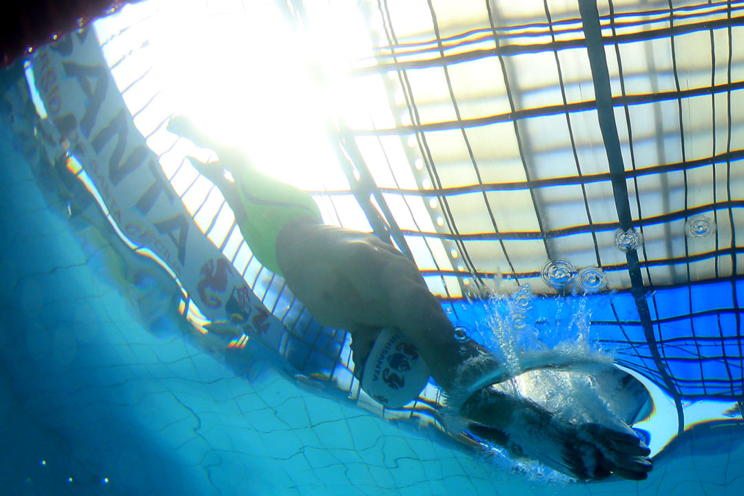 2017 Jose Finkel Trophy: Day 2 Prelims Underwater Photo Vault