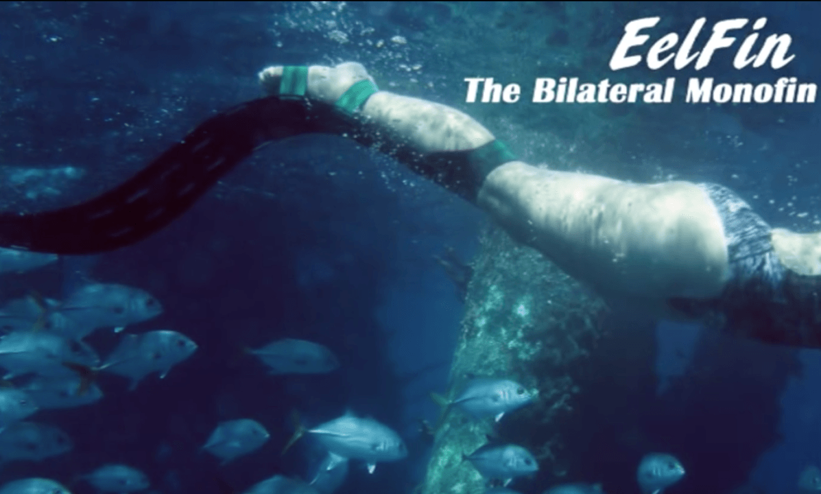 SwimmersBest Eelfins (Video)