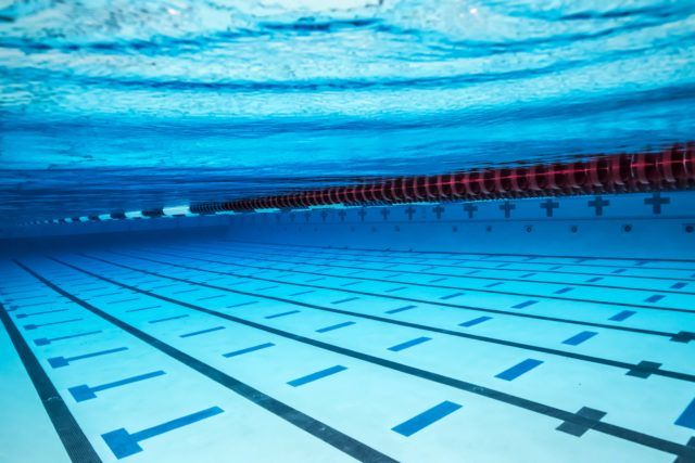New England Swimming Has New Look With Disbanding of Gator Swim Club
