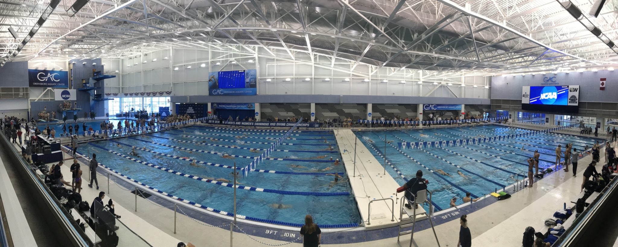 YMCA Releases Time Standards for 2022 Short Course National Championships