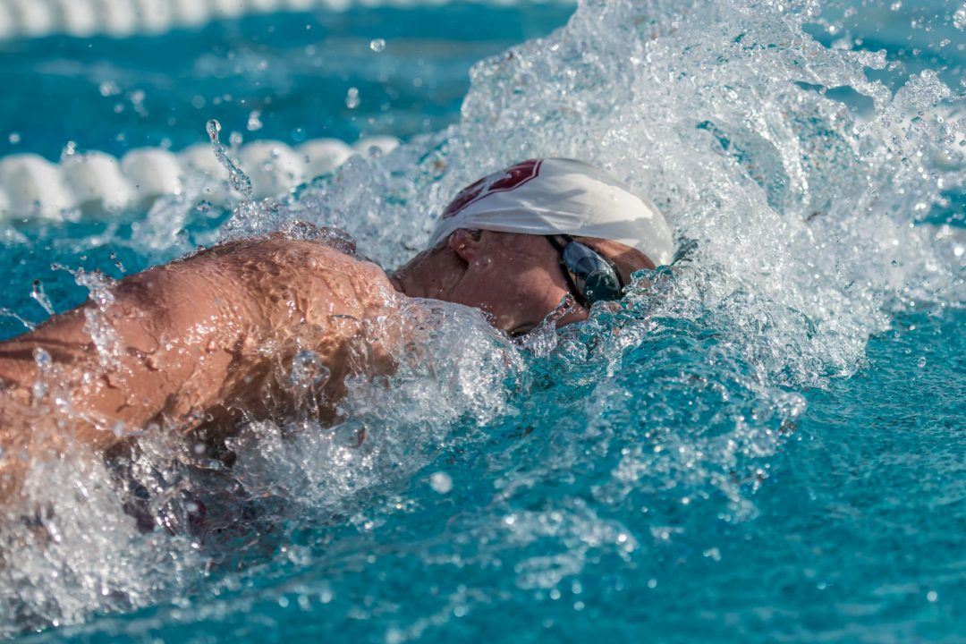 Do You Love Swimming? See 233 Swim Jobs You Might Love