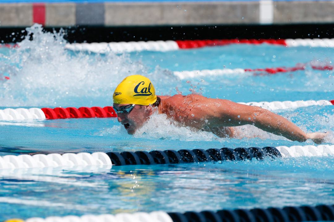 Cal Men Lead Swimulator Rankings