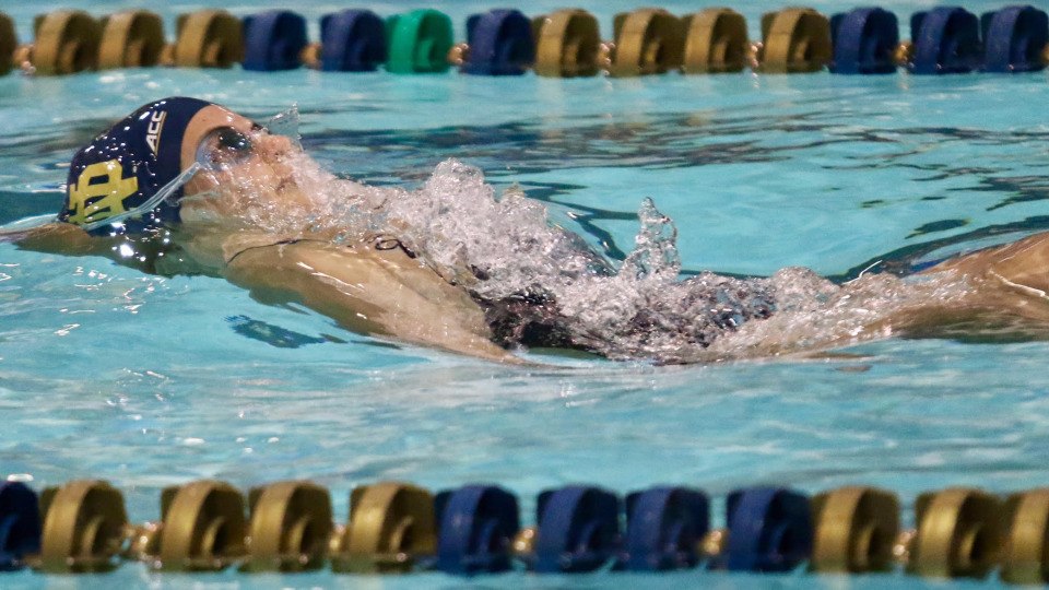 2019 Notre Dame Swimming Camps – Sign Up Today