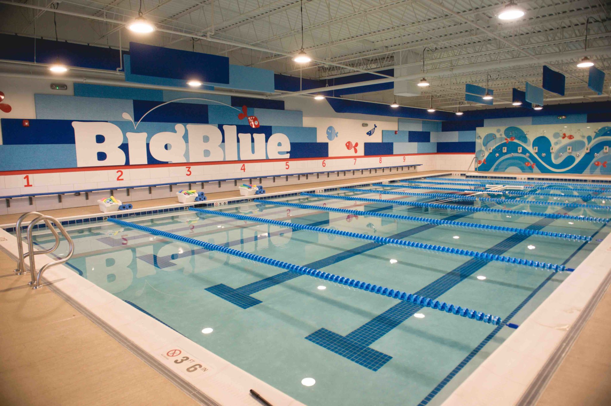 Austin C Smith To Open 21 Big Blue Swim Schools In Mountain West Region