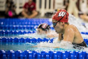 2020 Women’s NCAA Championships: Official SwimSwam Previews Index