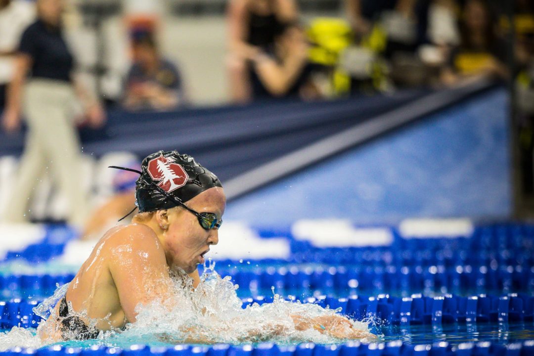 SwimSwam Pulse: 55% Pick Stanford at #1 For Women’s NCAA Ranks