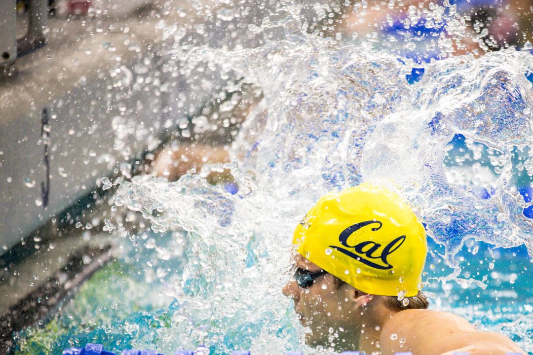 SwimSwam Pulse: 83% Picking Cal Men Over Stanford In Pac-12