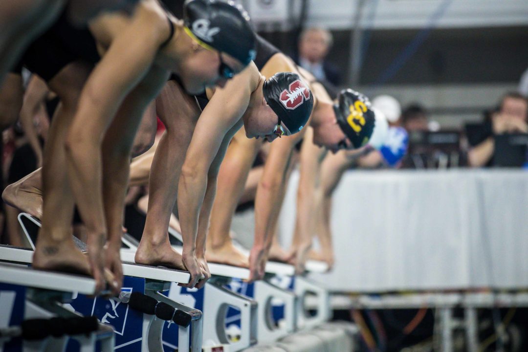 2019 W. NCAA Championships: 800 Free Relay Race Videos
