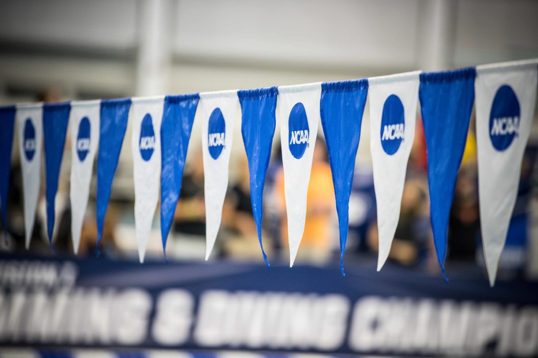 College Swimming Weekly Preview: Dec. 8-12, 2021