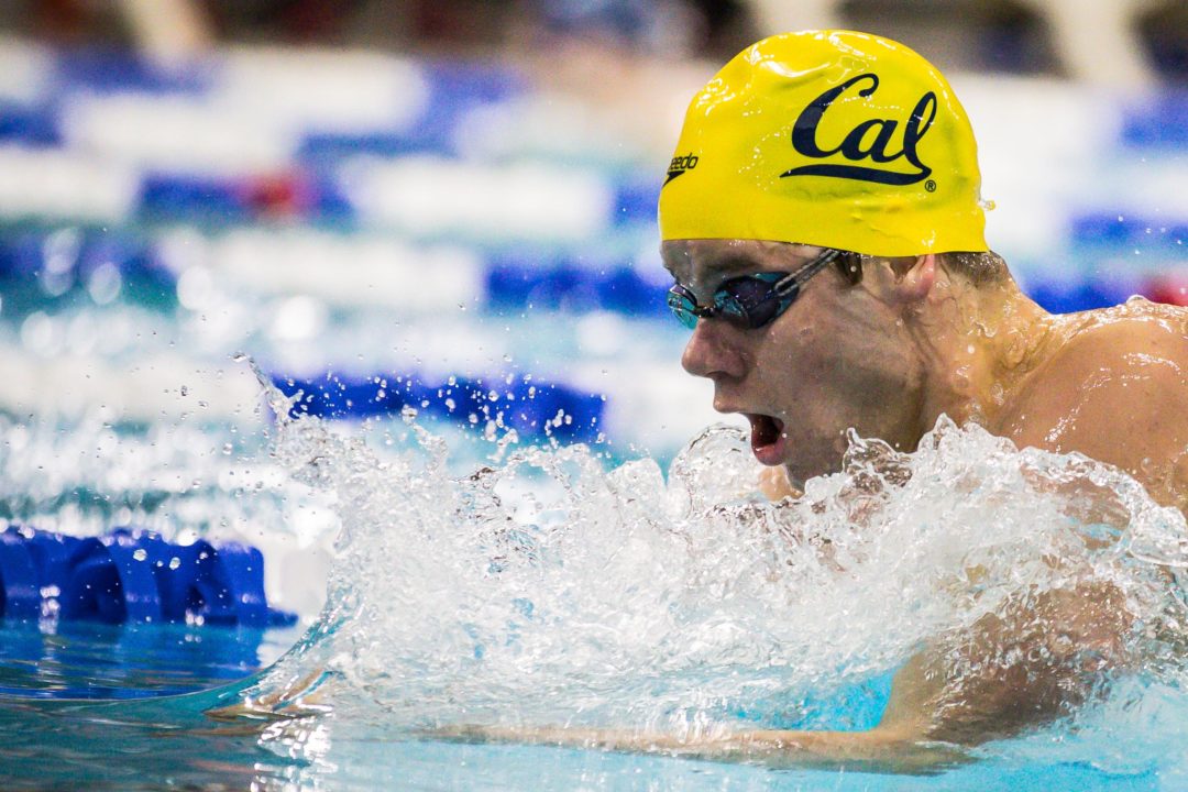 SwimSwam Pulse: 73% Pick Cal As Favorites For 2020 NCAAs