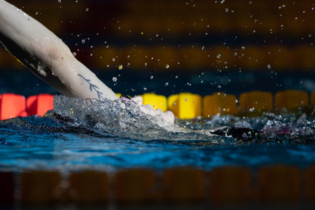 Fina Champions Swim Series: Le Immagini In Esclusiva Da Guangzhou