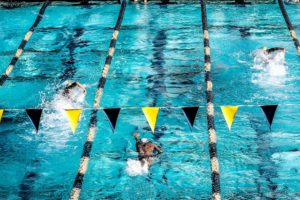 Summer Season: A Time for Transitions