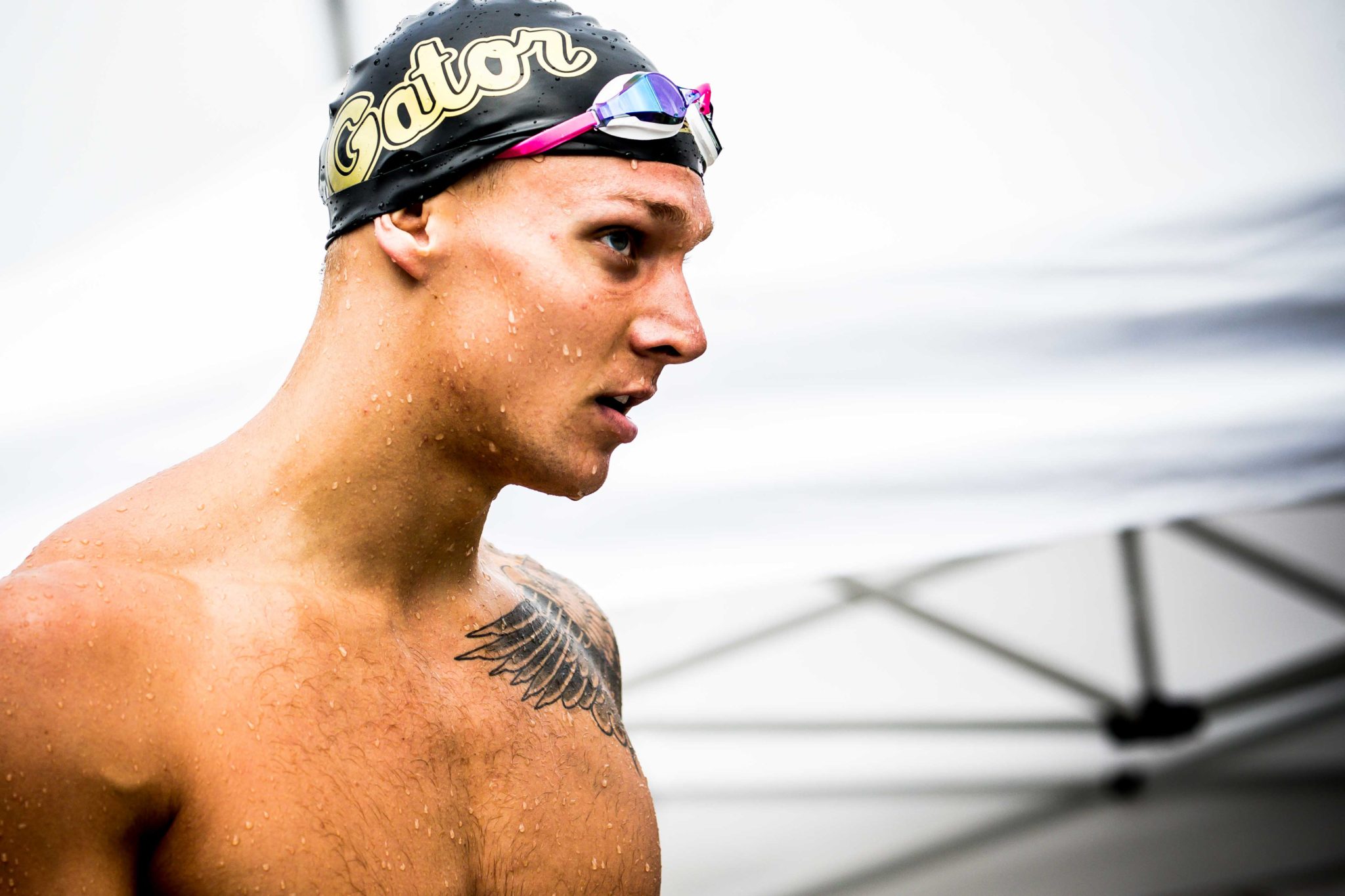 8 hours ago - caeleb dressel, one of the world's most dominant male sw...