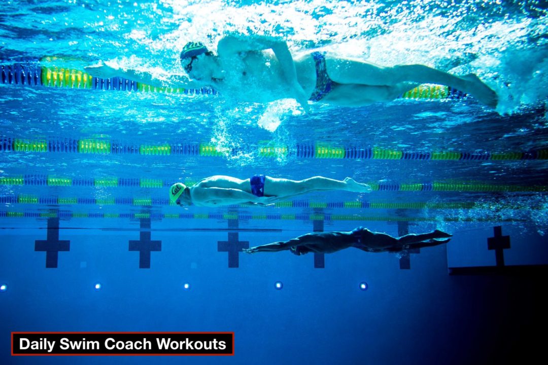 Daily Swim Coach Workout #829