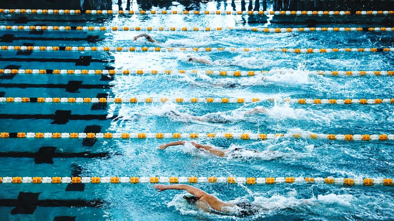2024 NCAA Swimming and Diving Conference Championships Primer Division II