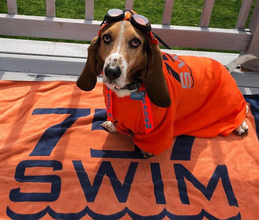 757 Swim Club Launches Team-Created Mascot Bracket Challenge