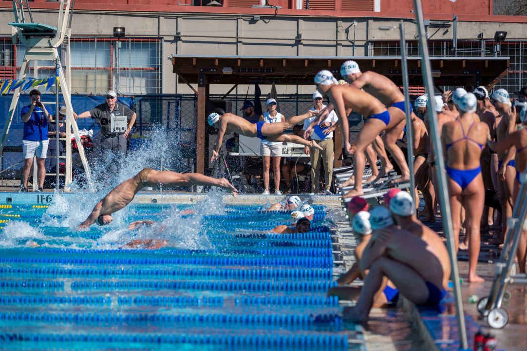 UC Santa Barbara Promotes Jaclyn Rosen to Head Swimming Coach