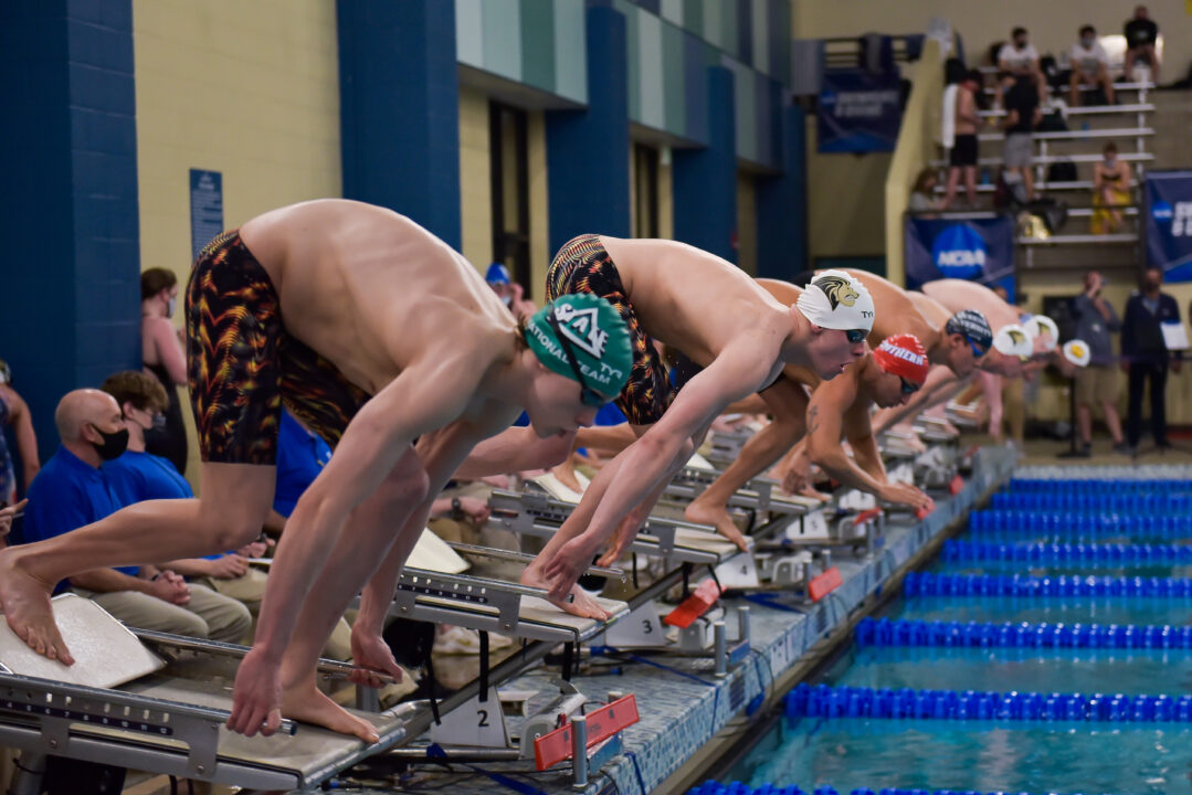 2022 NCAA Division II Men’s Swimming & Diving Championships – Fan Guide