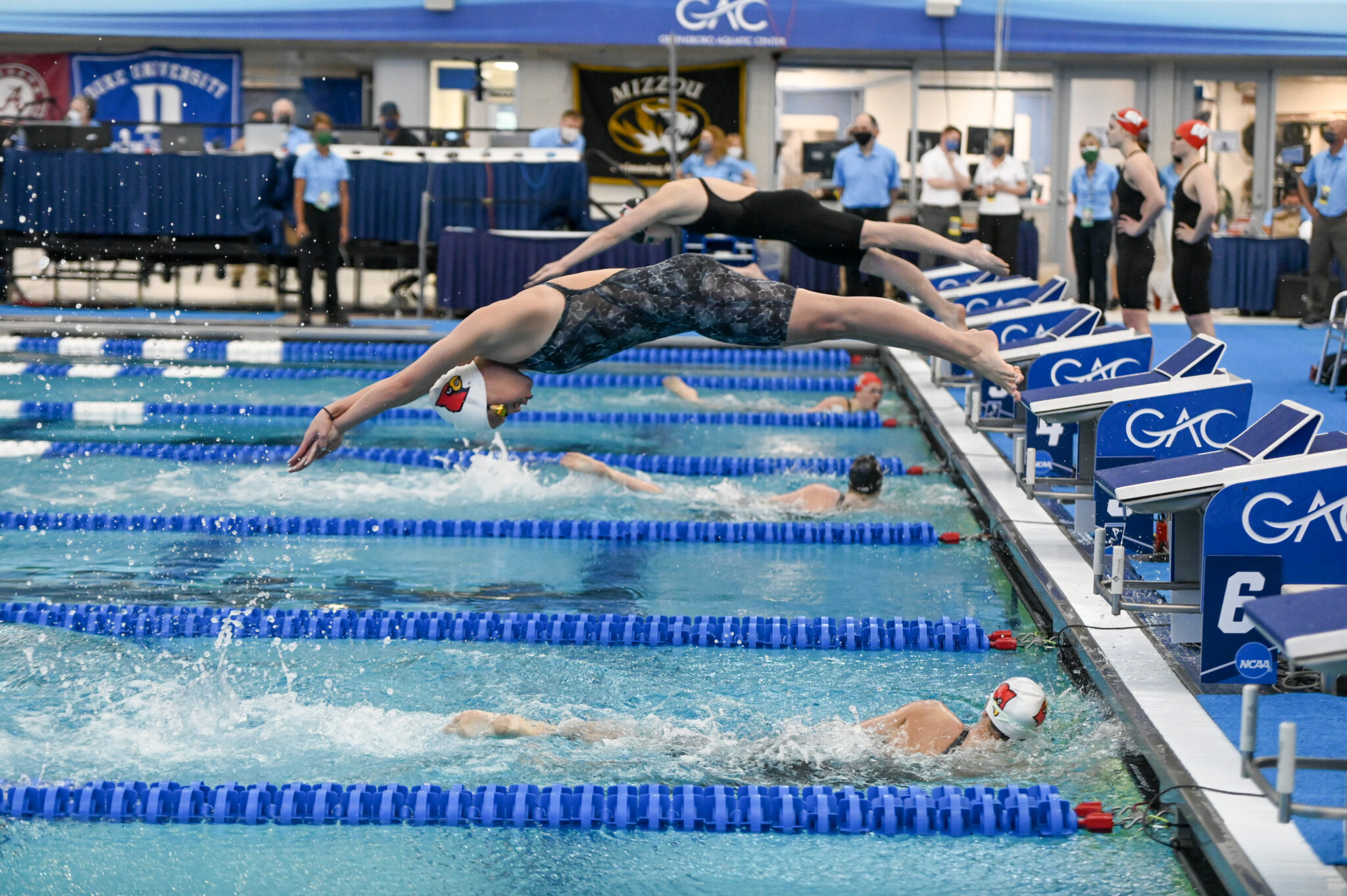 Louisville Swimmers Break Out a Chain at Winter Nationals