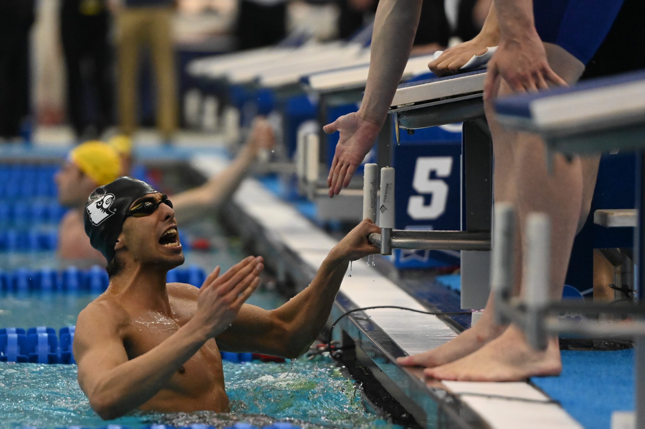 Louisville Swimmers Break Out a Chain at Winter Nationals