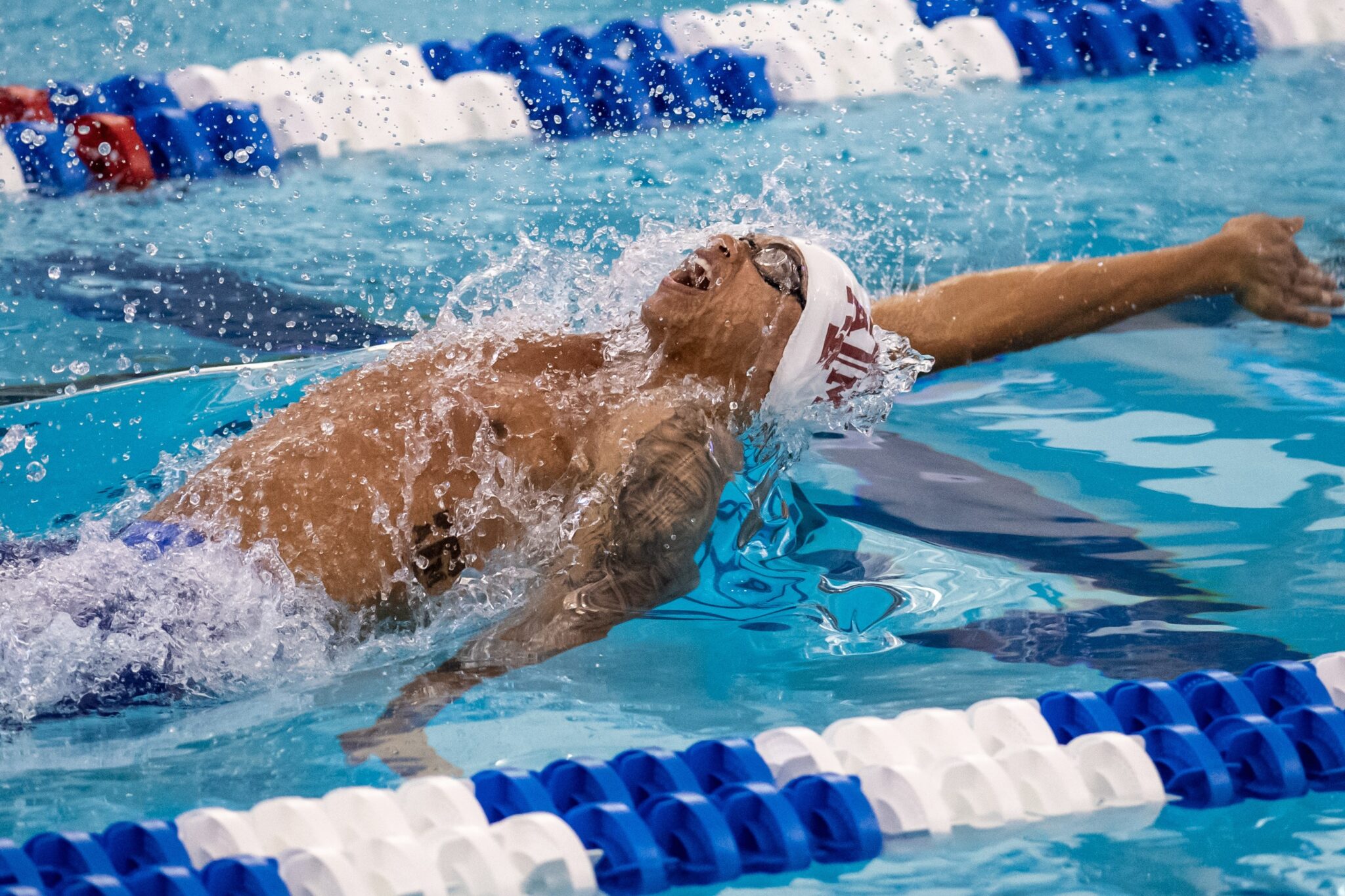 Derek Maas, Rhyan White & Riley Gaines Named SEC Swimmers of the Week