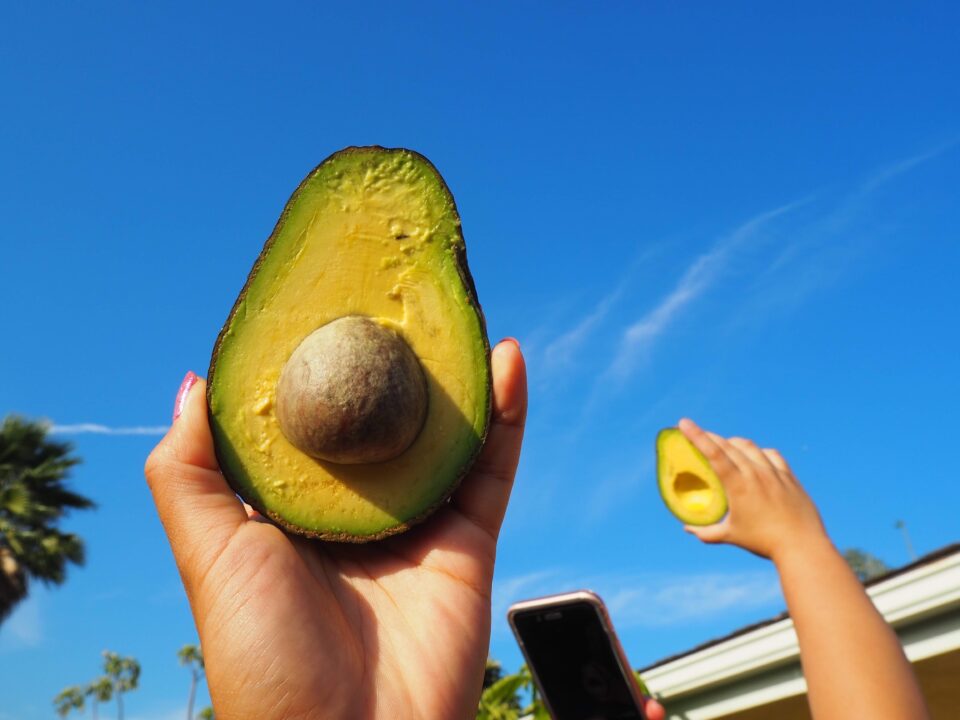 Plant-Based Performance: Why You Should Add Avocados To Your Diet