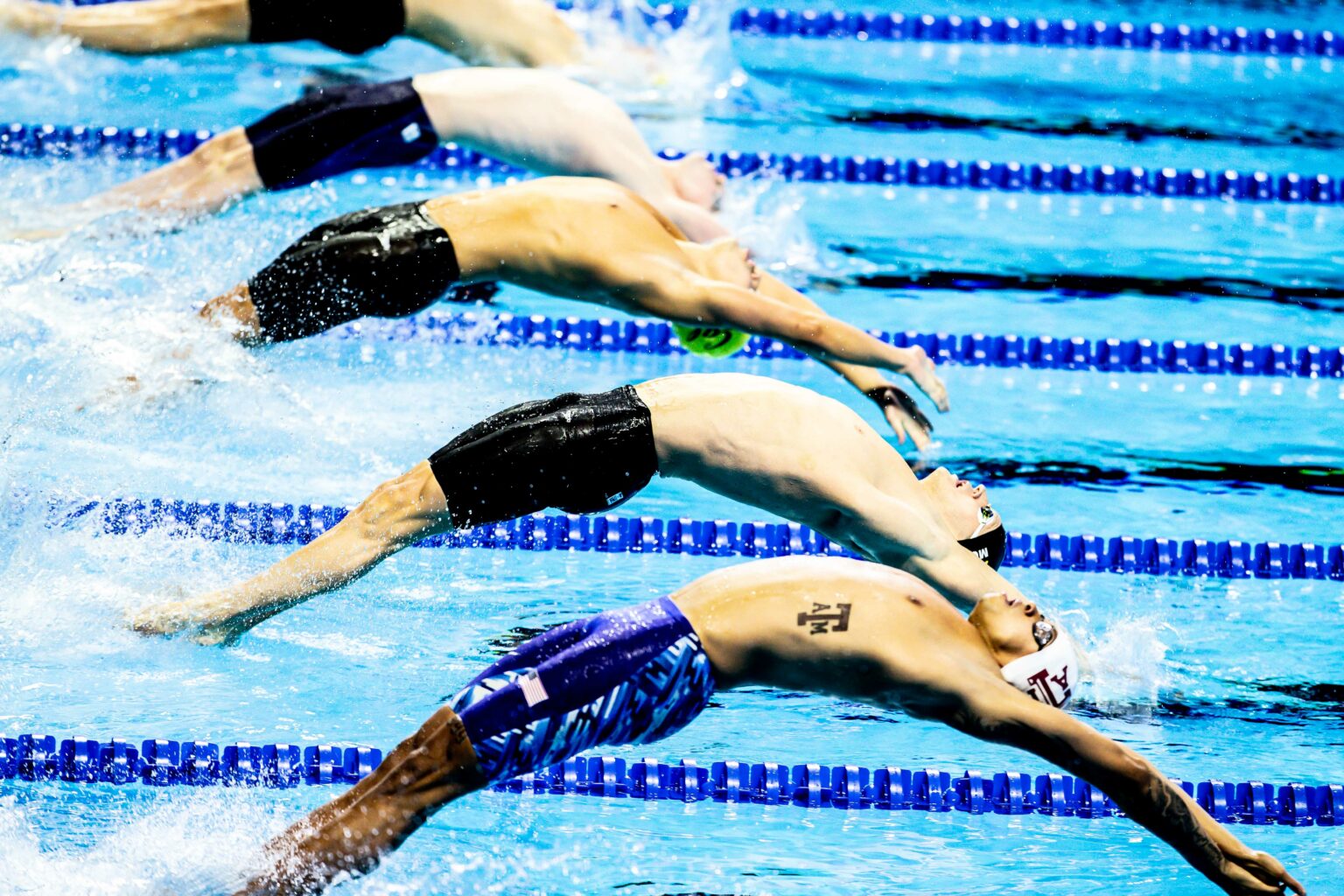 swimming101-check-out-swimswam-s-swimming-dictionary